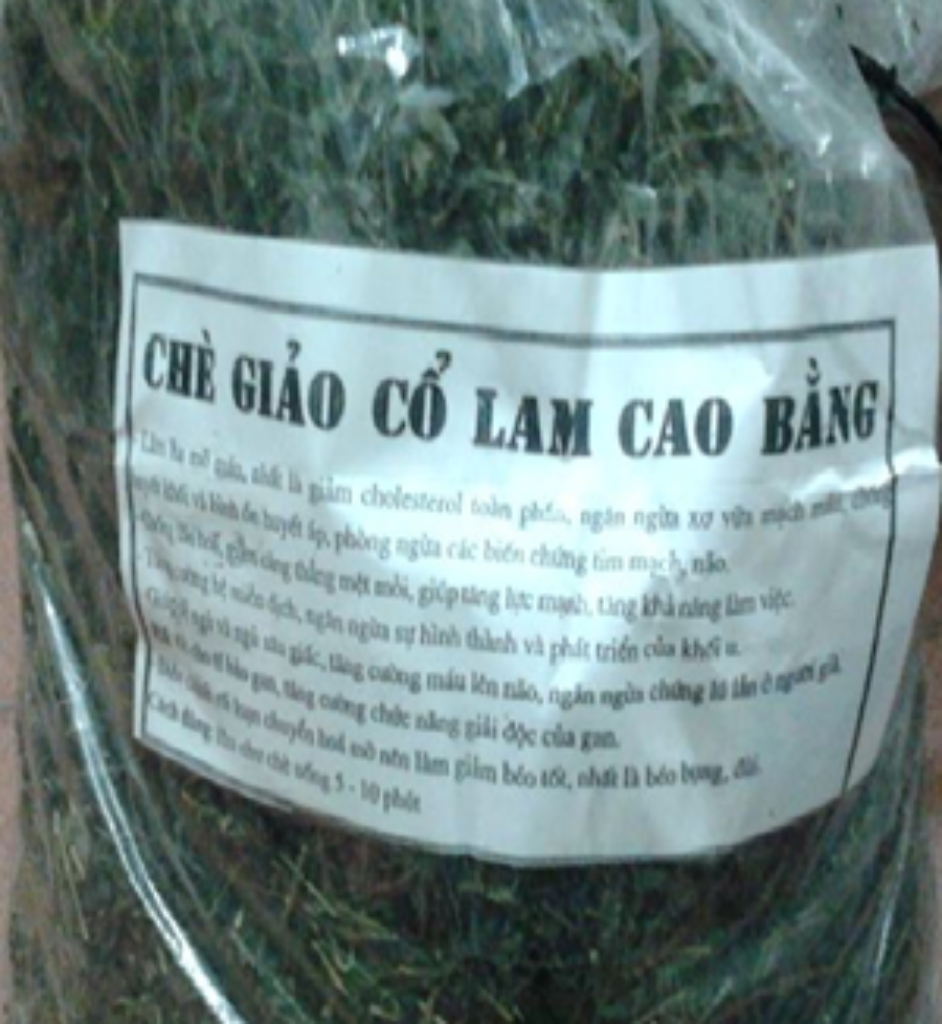 Giảo cổ lam Cao Bằng
