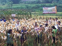 Trạm khuyến nông - khuyến lâm huyện Bảo Lâm