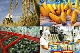Công ty CP thương mại dịch vụ xuất nhập khẩu nông nghiệp