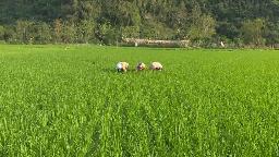 Trạm trồng trọt và bảo vệ thưc vật huyện Bảo Lâm