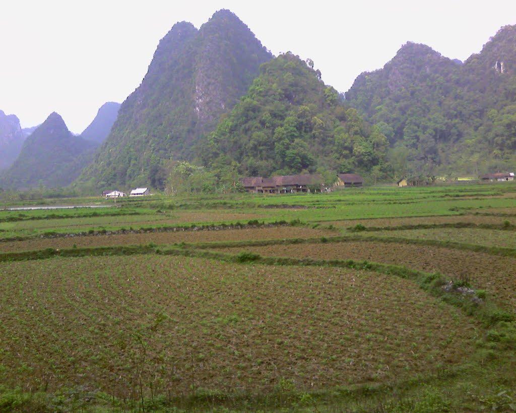 Đất - xã Chí Thảo, huyện Quảng Uyên
