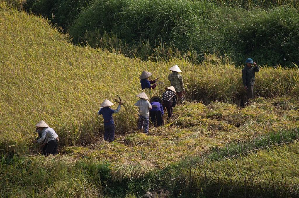 Đất - xã Hưng Thịnh, huyện Bảo Lạc