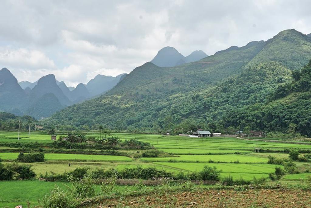 Đất trồng lúa - xã Đức Quang, huyện Hạ Lang