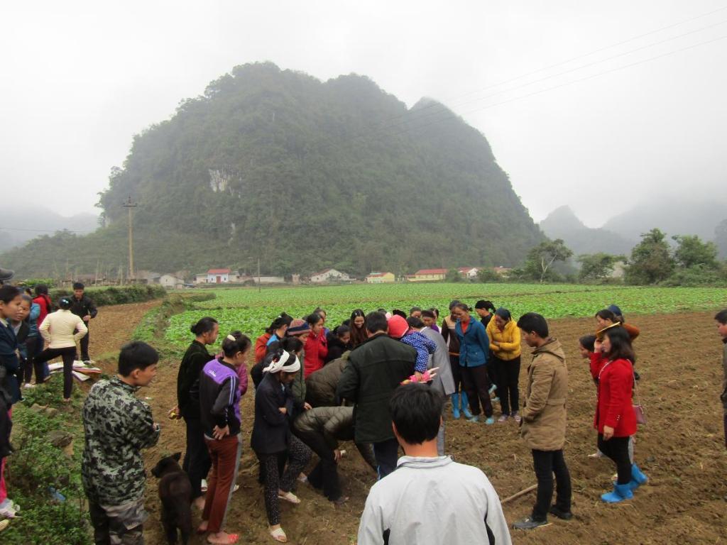 Đất - xã Cai Bộ, Quảng Uyên