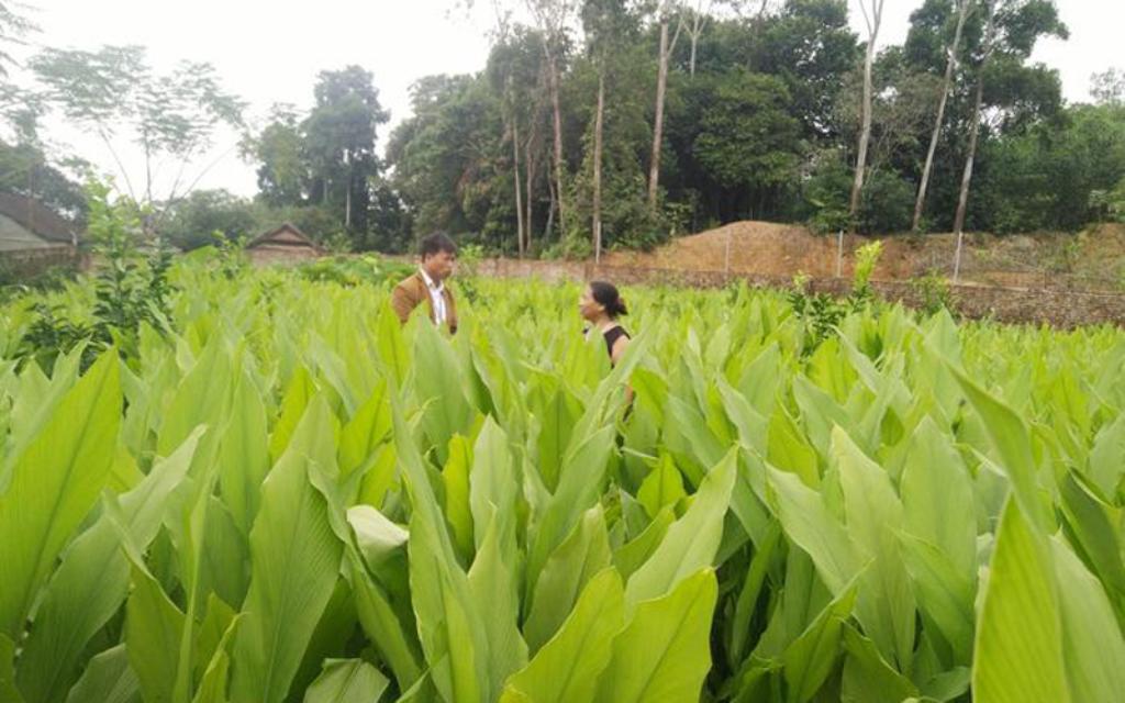 Đất - Lũng Vài, Nà Pết, Nà Làng, xã Mông Ân, huyện Bảo Lâm