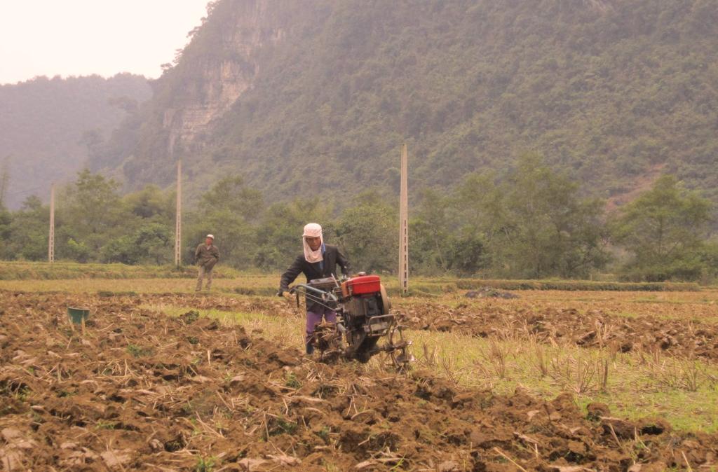 Đất- Bình Đường, huyện Nguyên Bình