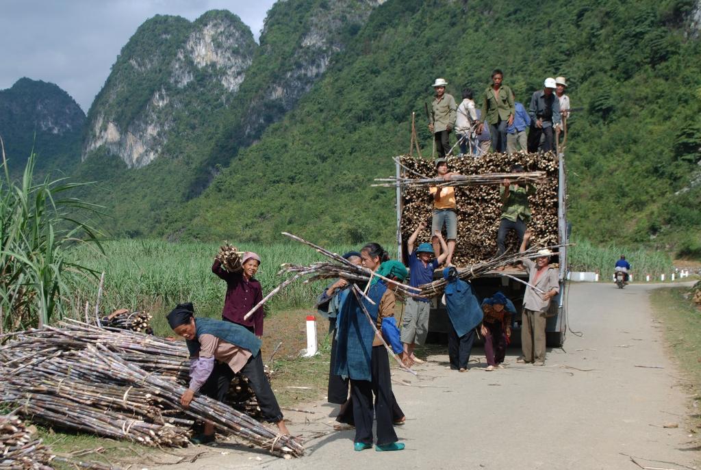 Thông tin về điều kiện tự nhiên, thời tiết, khí hậu, thổ nhưỡng, diện tích - xã Chí Thảo, huyện Quảng Uyên