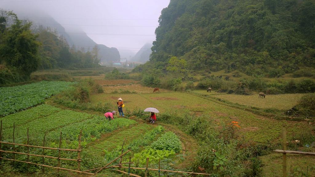 Thông tin về điều kiện tự nhiên, thời tiết, khí  hậu, thổ nhưỡng, diện tích - xã Nam Quang, huyện Bảo Lâm
