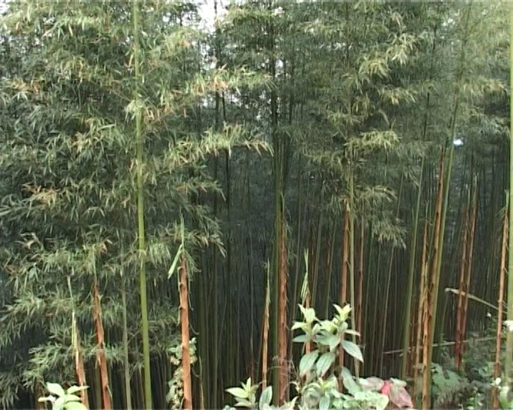 Điều kiện tự nhiên, thời tiết, khí hậu, diện tích - xã Huy Giáp, huyện Bảo Lạc