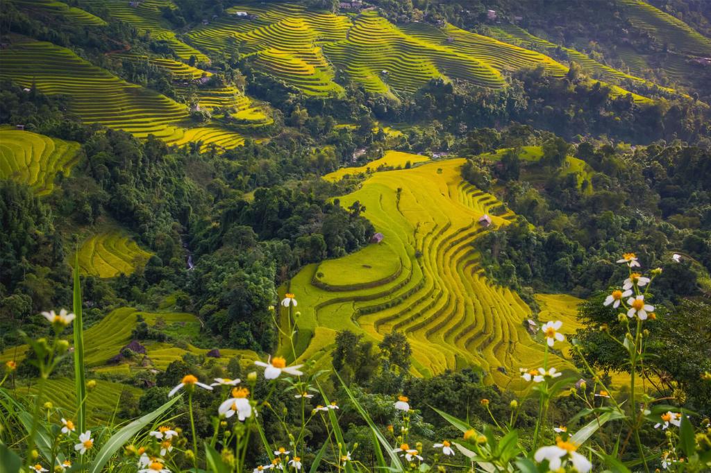 Thông tin cơ bản về địa phương, điều kiện tự nhiên tại UBND xã Vân Trình, huyện Thạch An