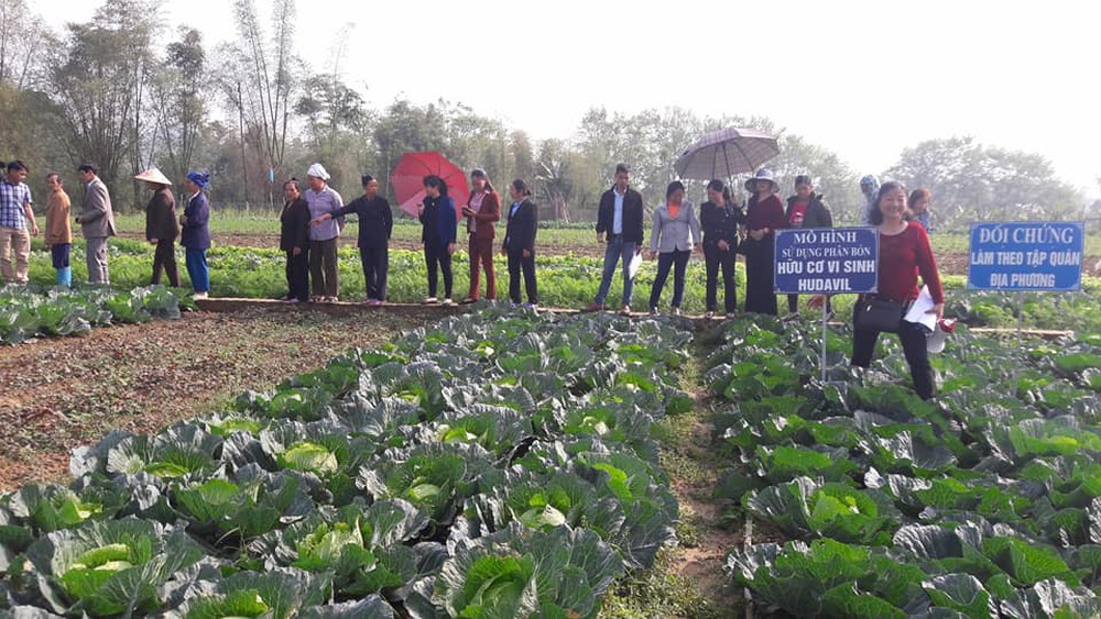 Ứng dụng khoa học công nghệ sử dụng phân bón hữu cơ vi sinh Hudavil trên một số cây trồng tại tỉnh Cao Bằng